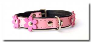 Lederhalsband FLOWER Gr.3 RESTPOSTEN