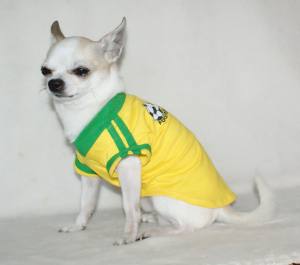 Hunde-T-Shirt BRAZIL