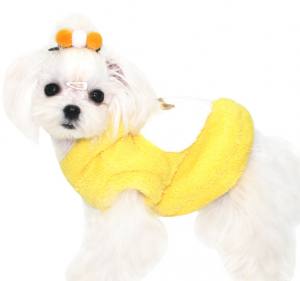 Hunde Spange KUGEL YELLOW-WHITE