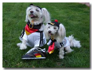 Hundehalstuch DEUTSCHLAND FLAGGE auf Halsband