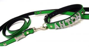 Halsband + Leine Lederset  inkl.Hundename + Schmuck GREEN