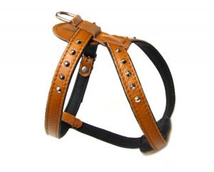 De Luxe 2 Hunde Leder-NIETEN-Geschirr  verstellbar 51-57cm