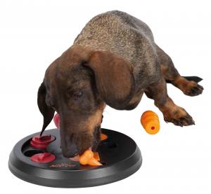 Hunde Dog Activity Flip Board Level 2