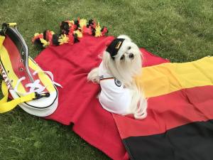 Hunde Fussball T-Shirt Trikot DEUTSCHLAND  SMALL DOG