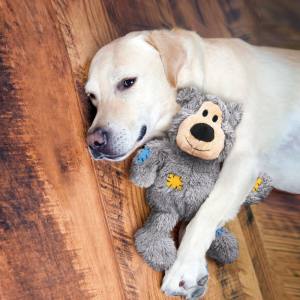 Hunde Spielzeug KONG Wildknots Bear