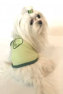 Hunde T-Shirt LEMON GREEN