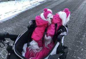 Winterjacke für Hunde LARA  pink